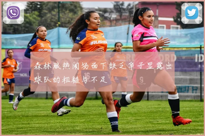 森林狼热闹场面下缺乏华子显露出球队的粗糙与不足