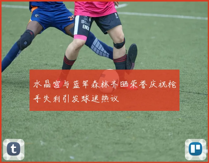 水晶宫与蓝军森林齐晒荣誉庆祝枪手失利引发球迷热议